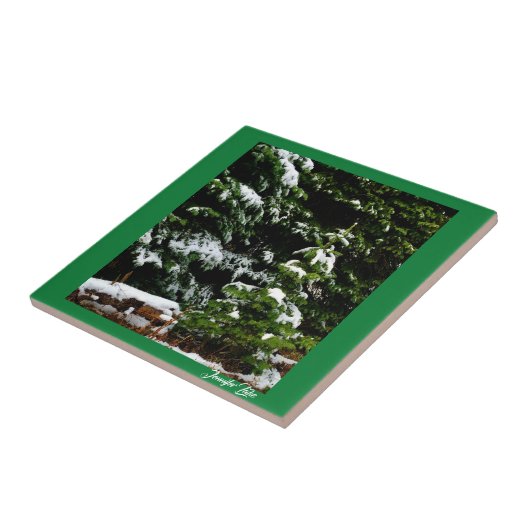 ローンツリー タイル (側面)