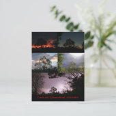 ローントン、クイーンズランド、オーストラリア ポストカード (スタンド正面)