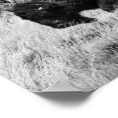 ローンバッファロー ポスター (角)