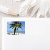 ローンパーム ラベル (インサイチュ)