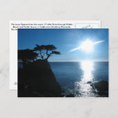 ローンヒノキ ポストカード (正面/裏面)