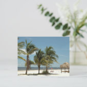 ローンビーチアットフォートマイヤーズビーチフロリダ ポストカード (スタンド正面)