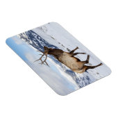 ローンブルエルク |イエローストーン国立公園 マグネット (右側)