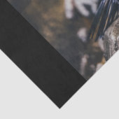 ローンペンギンティッシュペーパー 薄葉紙 (詳細)