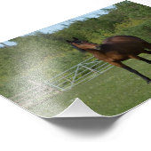 ローンホース フォトプリント            (角)