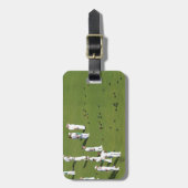 ローンボウルズイングランド ラゲッジタグ (正面縦)