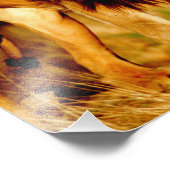 ローンライオン フォトプリント            (角)