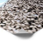 ローンライダーカフェクルーズ。 ポスター (角)