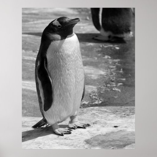 「ローン・ペンギン」 ポスター (正面)