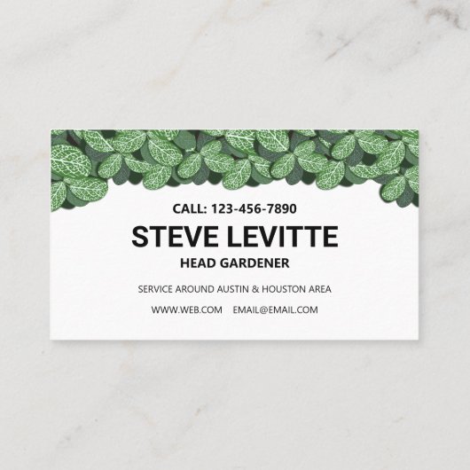 ローン&気に造園プロフェッショナル観葉プリント 名刺 (裏面)