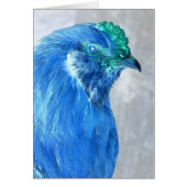 ロ熱狂するー (正面)