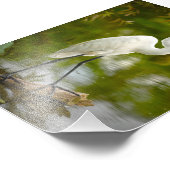 ロ素晴らしグ写真の上の白いヘロン フォトプリント            (角)