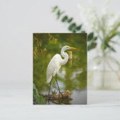 ロ素晴らしグ写真の上の白いヘロン ポストカード (スタンド正面)