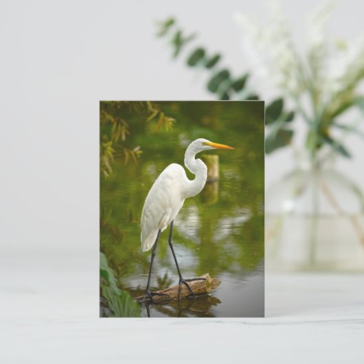 ロ素晴らしグ写真の上の白いヘロン ポストカード (スタンド正面)
