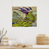 ロ葉ワン・ブレア・コルバーによるシダの ポスター (キッチン)