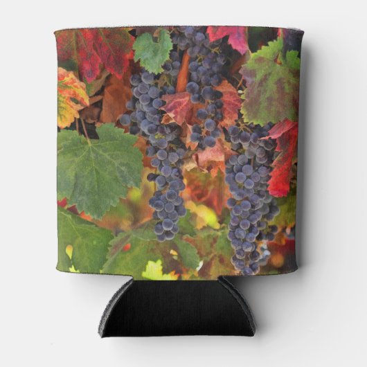 ワイかわいらしンをテーマにした飲料クーラーボックス 缶クーラー (正面)