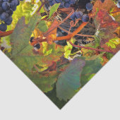 ワイかわいらしングレープブドウティッシュペーパー 薄葉紙 (詳細)