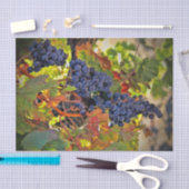 ワイかわいらしングレープブドウティッシュペーパー 薄葉紙 (クラフト)