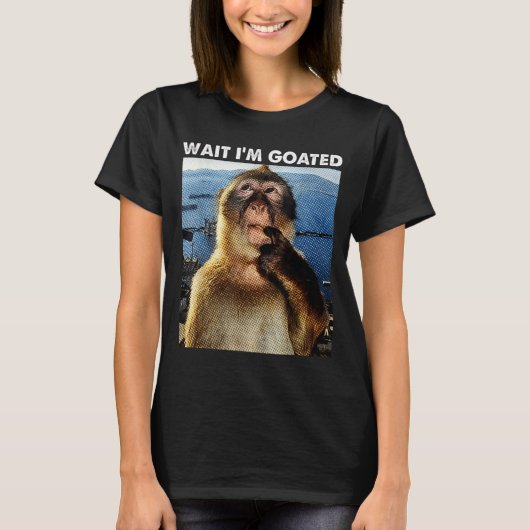 ワイはヤバい 楽しいお猿の思考 Meme Brainro Tシャツ (正面)
