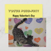 ワイアットのバレンタインデー – ネコ/キッテン – フラットカード シーズンカード (正面/裏面)