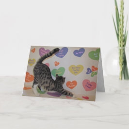 ワイアットザキャットの会話ハートバレンタイン シーズンカード