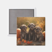 ワイアーヘアード・ポインティング・グリフォン・パピー・オータム マグネット (正面/裏面)
