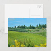 ワイイタリアンン国 ポストカード (正面/裏面)