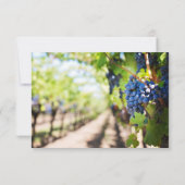 ワイエレガントンとブドウ園のつる植物の結婚カード 招待状 (裏面)