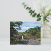 ワイエール滝インワイルクリバー州パーク ポストカード (スタンド正面)