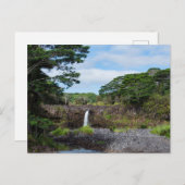 ワイエール滝インワイルクリバー州パーク ポストカード (正面/裏面)