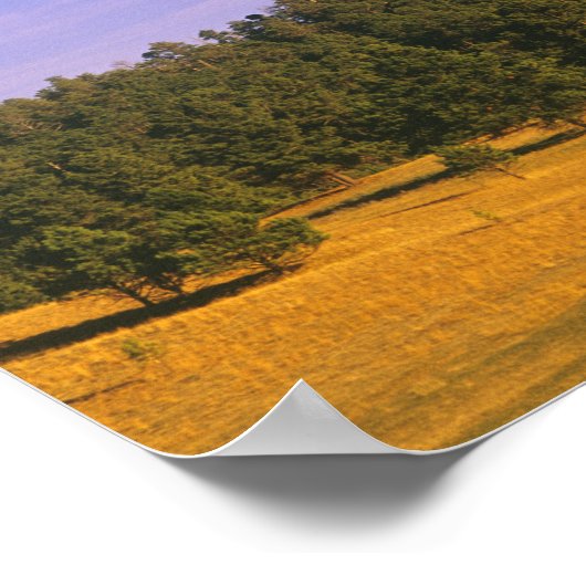 ワイオミングのデビルズタワー国定記念碑 ポスター (角)