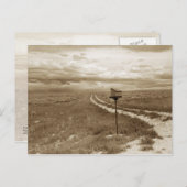 ワイオミングの孤独なメールボックス ポストカード (正面/裏面)