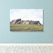 ワイオミングのVedauwoo Canvas Print キャンバスプリント (インサイチュ (ウッドフロア))