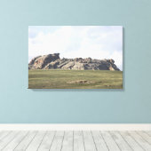 ワイオミングのVedauwoo Canvas Print キャンバスプリント (インサイチュ (ウッドフロア))