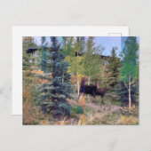 ワイオミングはがきワイルドムース ポストカード (正面/裏面)