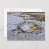 ワイオミングイエローストーン国立公園のシェル春 ポストカード (正面/裏面)