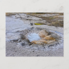 ワイオミングイエローストーン国立公園のシェル春 ポストカード