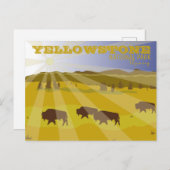 ワイオミングイエローストーン国立公園のバイソン ポストカード (正面/裏面)