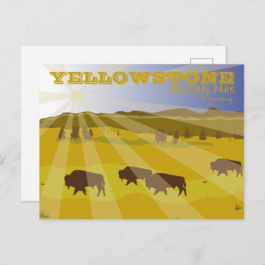 ワイオミングイエローストーン国立公園のバイソン ポストカード (正面/裏面)