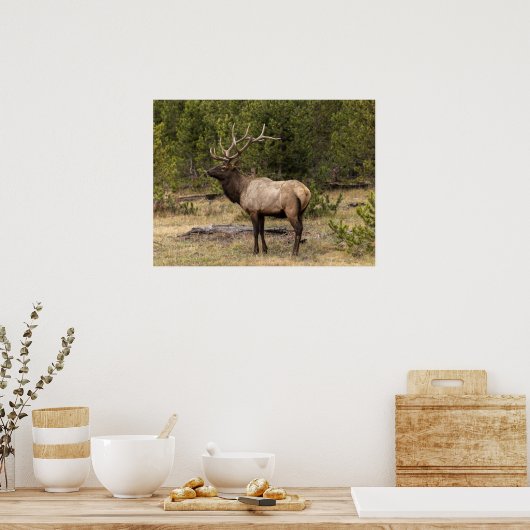 ワイオミングイエローストーン国立公園 ポスター (キッチン)