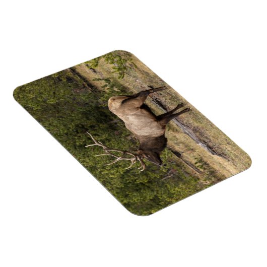 ワイオミングイエローストーン国立公園 マグネット (右側)