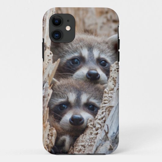 ワイオミング州リンカーン郡アライグマ Case-Mate iPhoneケース (裏面)