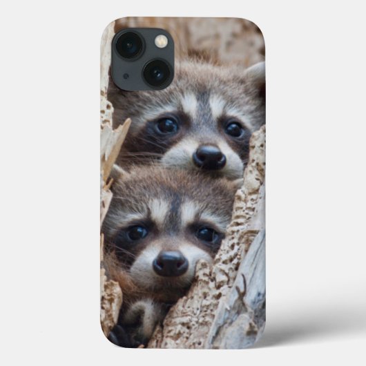 ワイオミング州リンカーン郡、アライグマ Case-Mate iPhoneケース (裏面)
