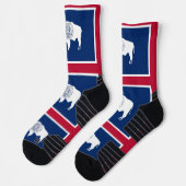 ワイオミング州旗を持つアスレティッククルーの靴下 ソックス (左)