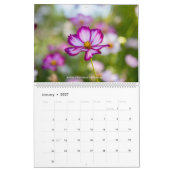 ワイオミング州Cheyenneの自然の美しい カレンダー (1月 2027)