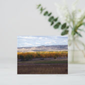 ワイオミング秋 ポストカード (スタンド正面)