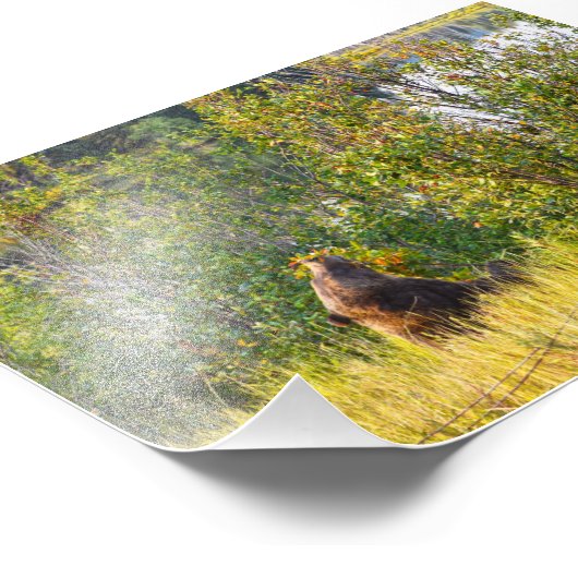 ワイオミング食べテトンベアの果実 フォトプリント (角)