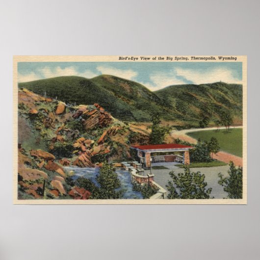 ワイオミング・サーモポリス ポスター (正面)