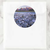 ワイオミング、テトン国立公園、スネーク川 ラウンドシール (バッグ)