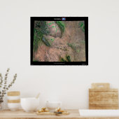 ワイオミング ポスター (キッチン)